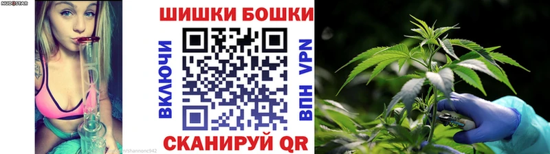 купить наркотик  Колпашево  Бошки Шишки сатива 